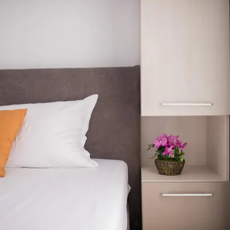 Alegria By Alz Năvodari