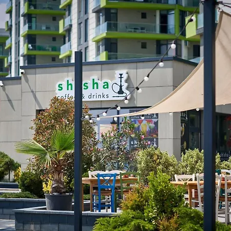 Alegria By Alz 아파트 Năvodari