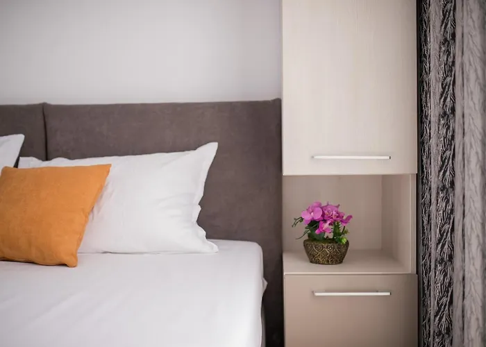 Alegria By Alz Năvodari